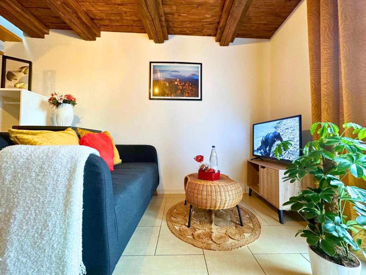 Le Petit Chataignier - Cozy Immo Châtenois Dış mekan fotoğraf