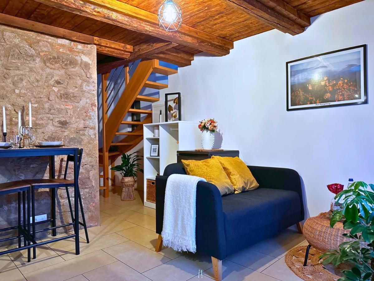 Le Petit Chataignier - Cozy Immo Châtenois Dış mekan fotoğraf