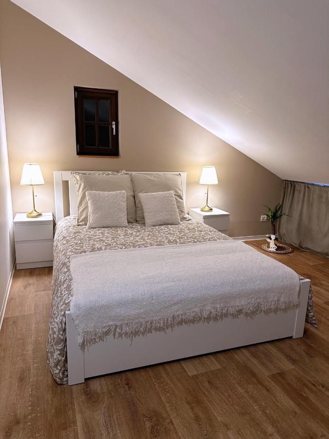 Le Petit Chataignier - Cozy Immo Châtenois Dış mekan fotoğraf