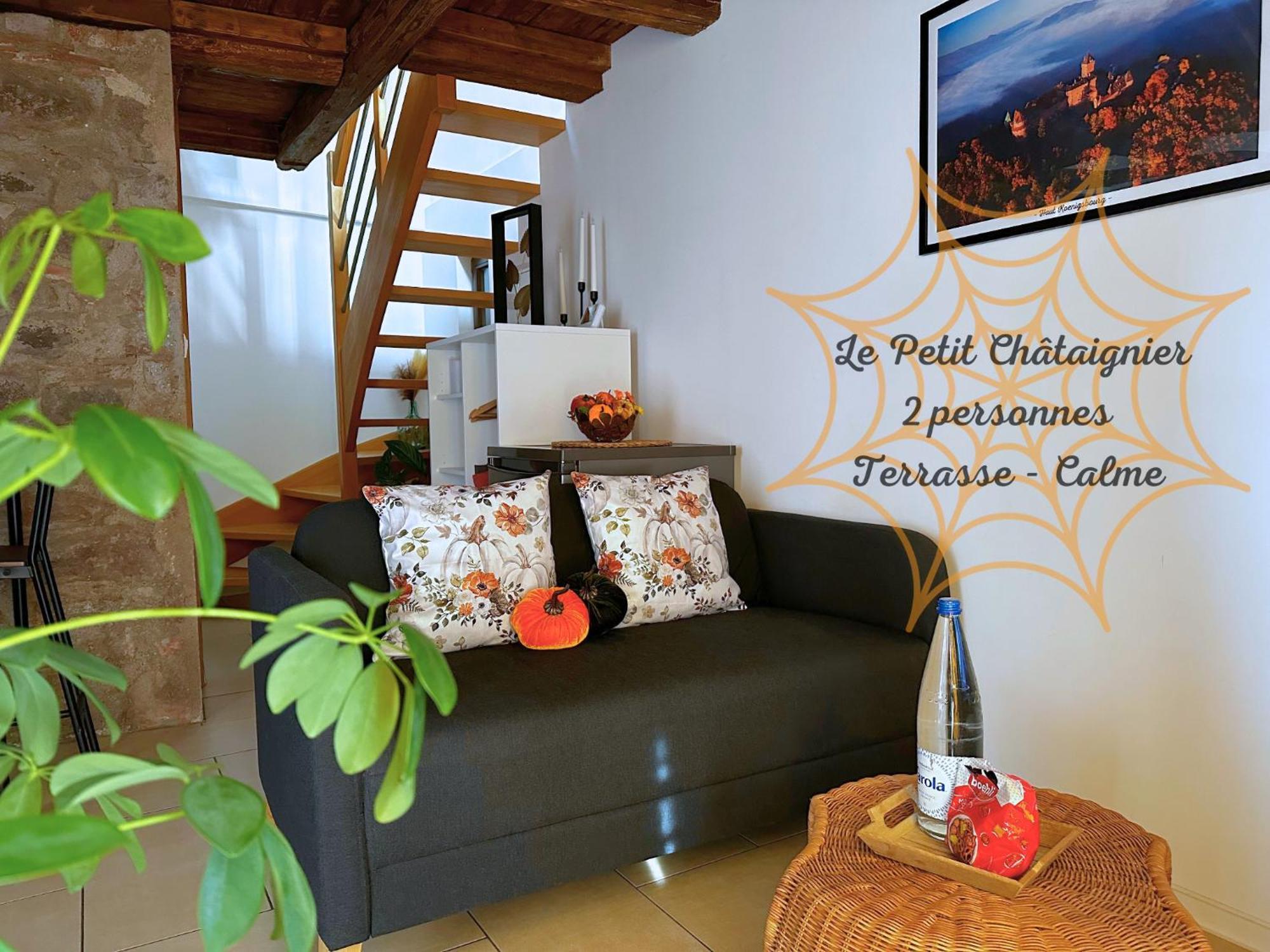 Le Petit Chataignier - Cozy Immo Châtenois Dış mekan fotoğraf